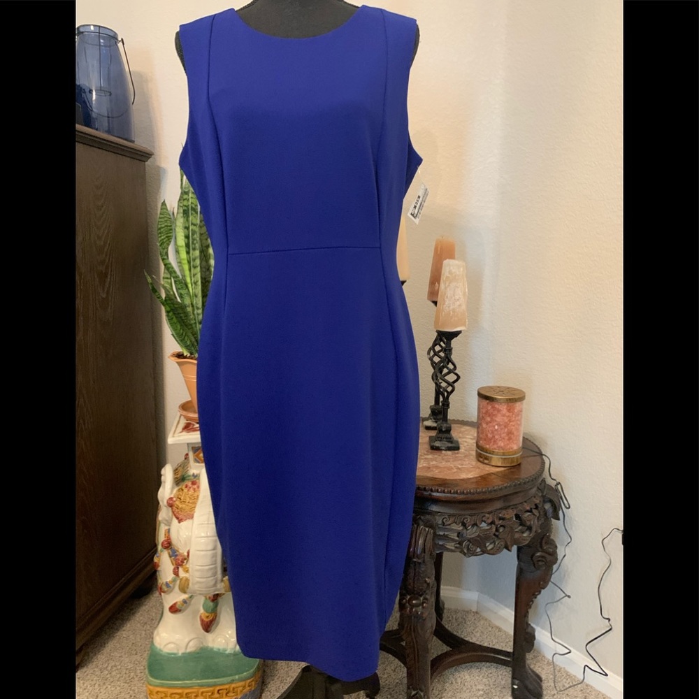 Royal blue Calvin Klein stunner!